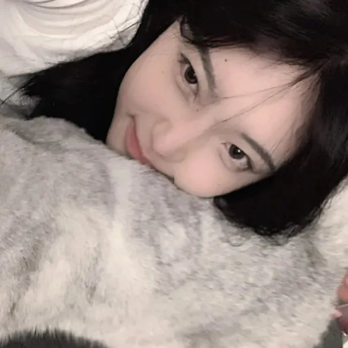 红盾先锋